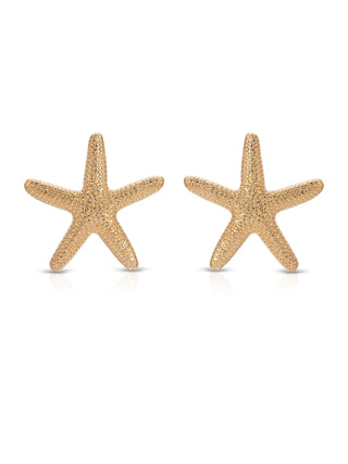 Statement Starfish Stud Earrings