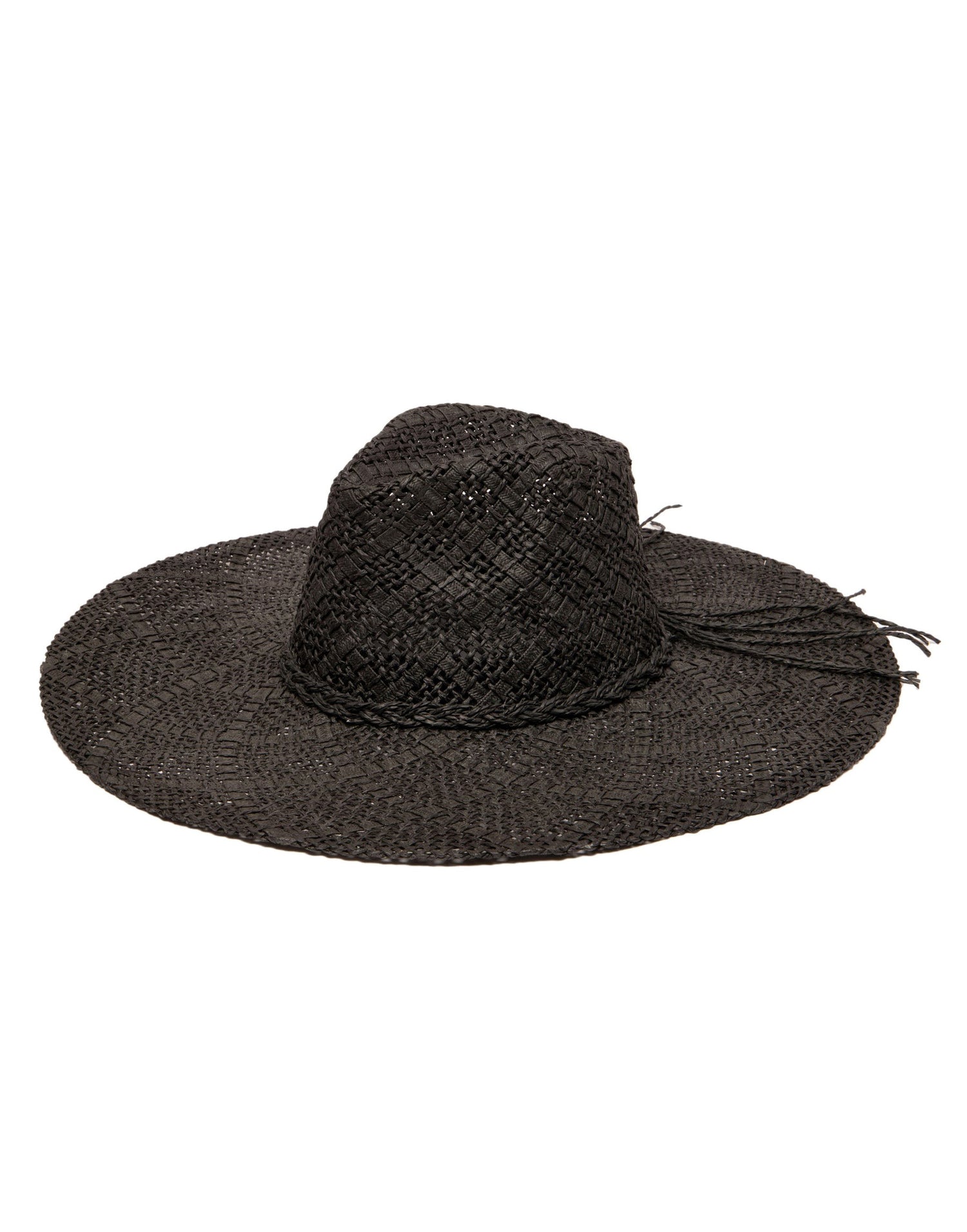 Sun Dialed Fedora by San Diego Hat Company in Black - Angled View